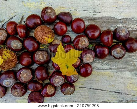 Ripe chestnuts white wooden background, outdoor shoot, top view, background