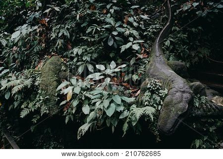 Green Wild Jungle Forest And Gecko Sculpture