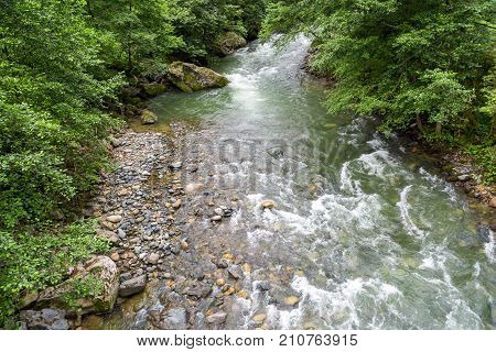Flowing Firtina River In Rize In Forest