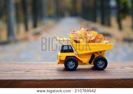 The Concept Of Seasonal Harvesting Of Autumn Fallen Leaves Is Depicted In The Form Of A Toy Yellow T