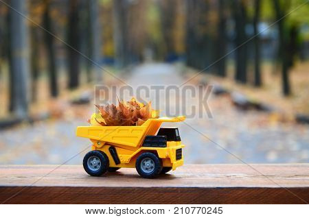 A Small Toy Yellow Truck Is Loaded With Yellow Fallen Leaves. The Car Stands On A Wooden Surface Aga