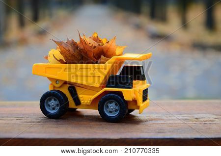 The Concept Of Seasonal Harvesting Of Autumn Fallen Leaves Is Depicted In The Form Of A Toy Yellow T