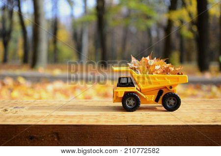 A Small Toy Yellow Truck Is Loaded With Yellow Fallen Leaves. The Car Stands On A Wooden Surface Aga