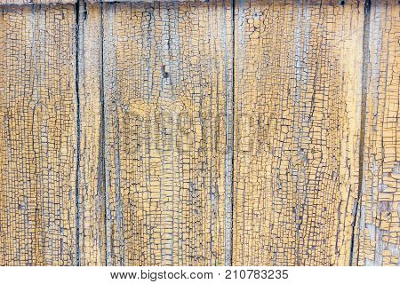 Wooden plank background, old wheathered texture brown or yellow color