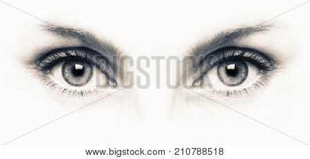 BLACK AND WHITE IMAGE OF FEMALE EYES