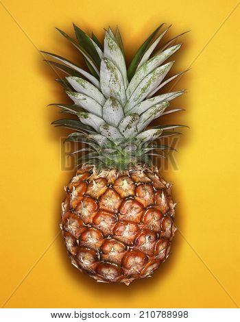 GRAPHIC IMAGE OF PINEAPPLE ON YELLOW BACKGROUND