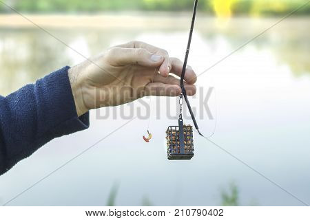 An angler's hand holds a groundbait box with bait and a leader with a hook with larvae of fly