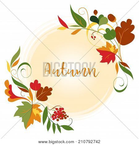 Decorative autumn leaves and berries frame or background