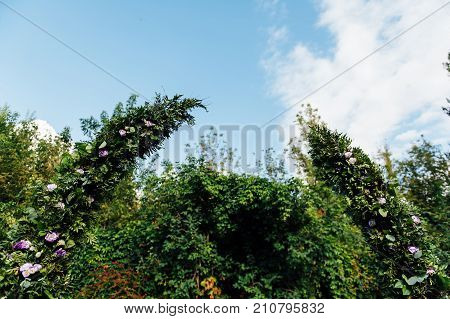 Place for wedding ceremony with white chairs and an arch of living plants