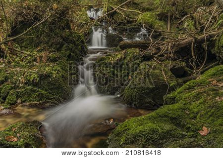 Javori Creek In Krkonose Mountains National Park In Autumn Color Day