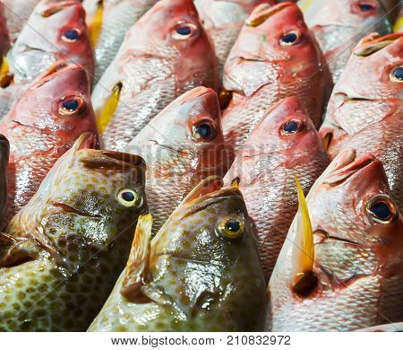 Seafood On Ice At The Fish Market