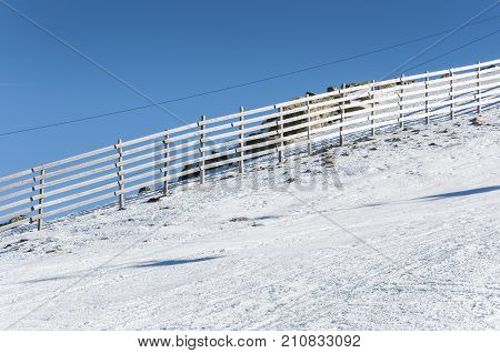 Wooden fence on the snow. Photo taken in Navacerrada Ski Resort Navacerrada Mountain Pass Madrid Spain on January 4 2015