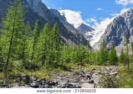View On Glacier Small Aktru. Altai Republic. Russia