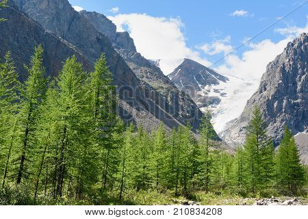 View On Glacier Small Aktru. Altai Republic. Russia