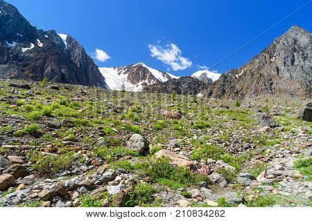 View On Glacier Aktru. Altai Republic. Russia