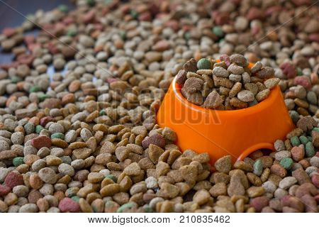 Orange plastic bowl filled with dry pet food surrounded by dry food for cat and dogs