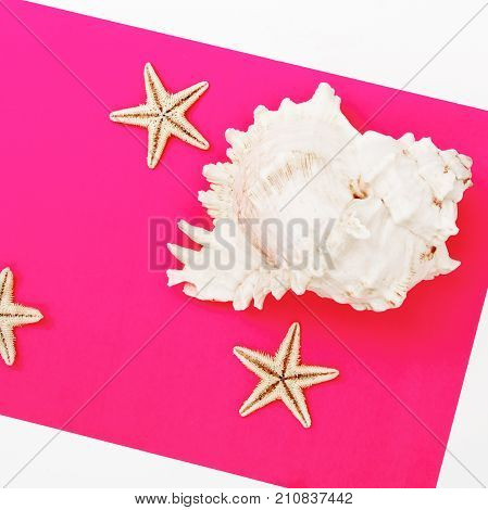 Minimal Style. Flat Lay. A Minimalistic Fashion Photo. Pop Art. A Colorful Simple Photograph Of Sea