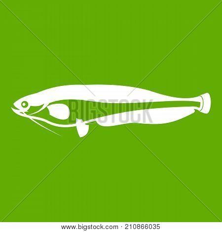 Atlantic mackerel, Scomber scombrus icon white isolated on green background. Vector illustration