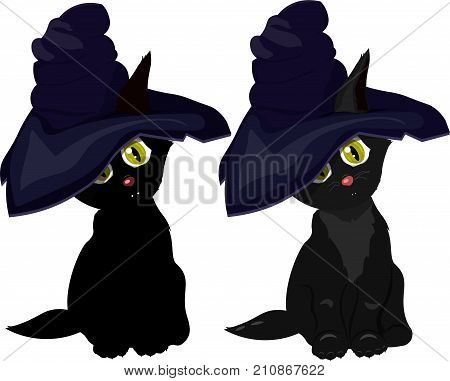Black Cat in Witch hat. Isolated on white background. cute kitty