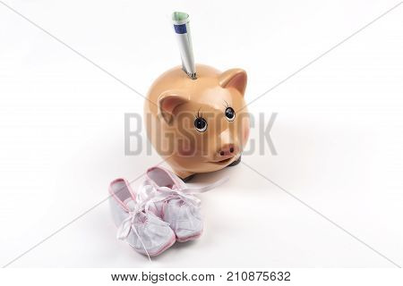 Piggy Bank And Euros