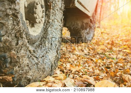 Dirty the wheels of the car after off-road. The car is in the autumn forest, fallen leaves. Selective focus