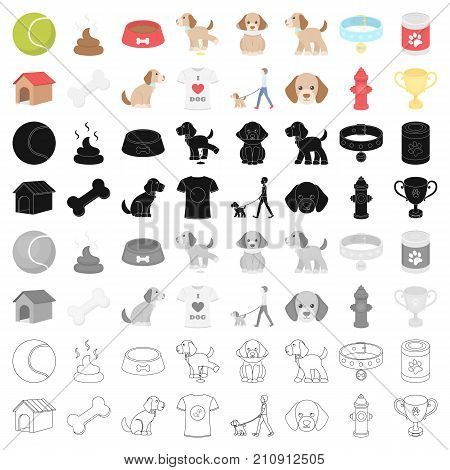 Dog equipment set icons in cartoon style. Big collection dog equipment vector symbol stock