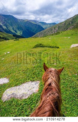 View Over Valley From The Horse Back, Kyrgyzstan