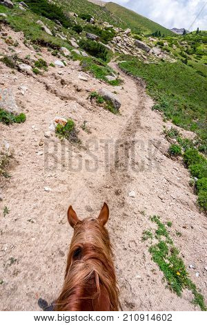 View Over Valley From The Horse Back, Kyrgyzstan