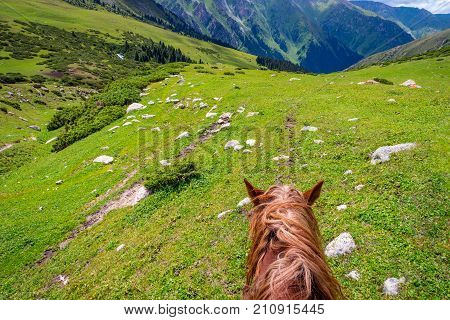 View Over Valley From The Horse Back, Kyrgyzstan