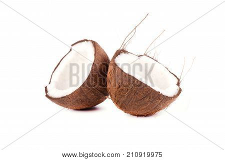 Coconut isolated on the white background. Tropical fruit coconut.