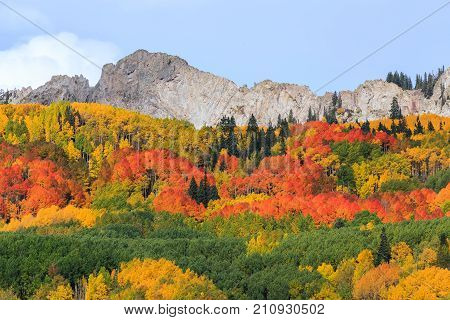 Kebler Pass - Autumn colors create a unique scenic beauty in the Rocky Mountains of Colorado.