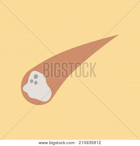 flat icon on stylish background nature falling meteorite