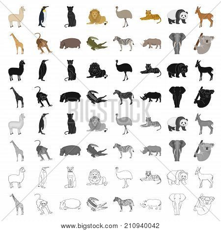 Ostrich emu, crocodile, giraffe, tiger, penguin and other wild animals. Artiodactyla, mammalian predators and animals set collection icons in cartoon style vector symbol stock illustration .