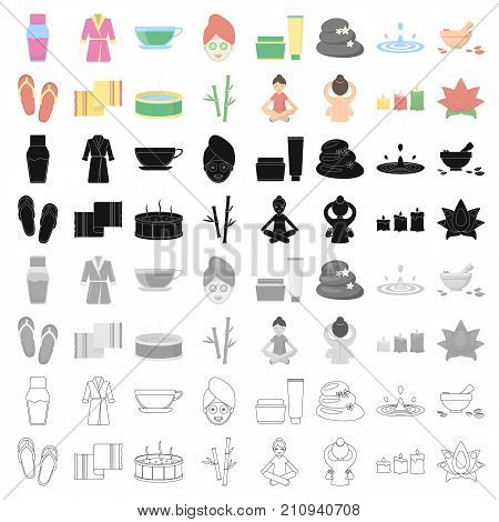 Spa set icons in cartoon style. Big collection of spa vector symbol stock