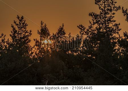 Sunset near Dominova skalka in Slavkovsky Les mountains in autumn evening