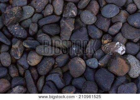 River stone Stone in the Park Stone floor texture Sea stones background