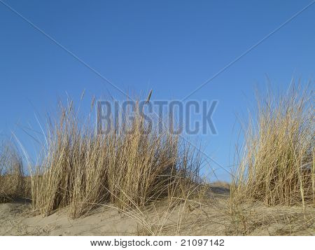 Klitterne