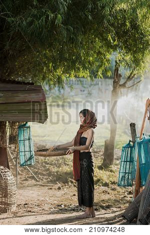 Lifestyle of rural Asian women in the field countryside thailand.Daily life of rural women in ThailandAsia people at farmland.