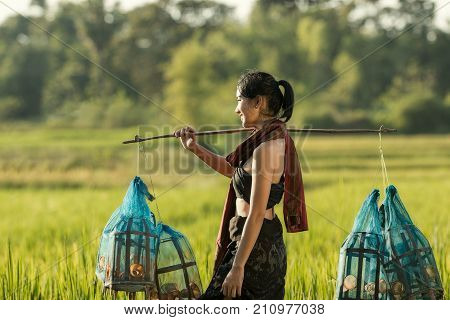 Lifestyle of rural Asian women in the field countryside thailand.Daily life of rural women in ThailandAsia people at farmland.
