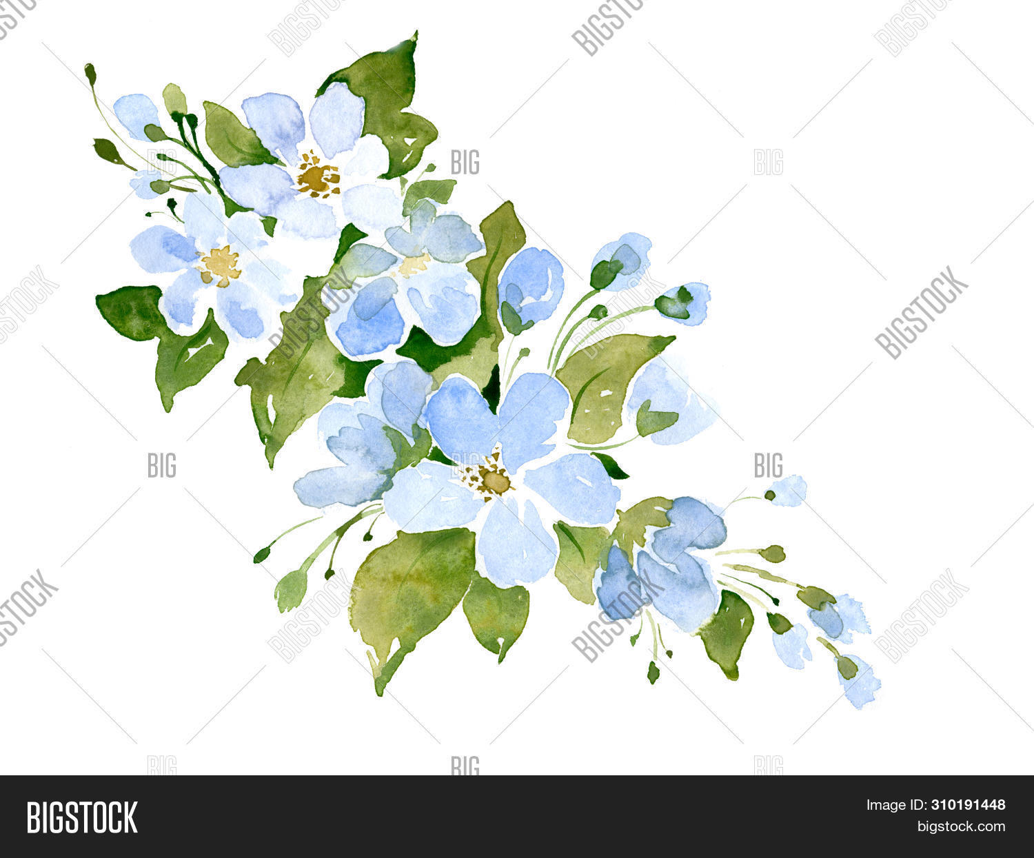 Apple Tree Flowers Image Photo Free Trial Bigstock