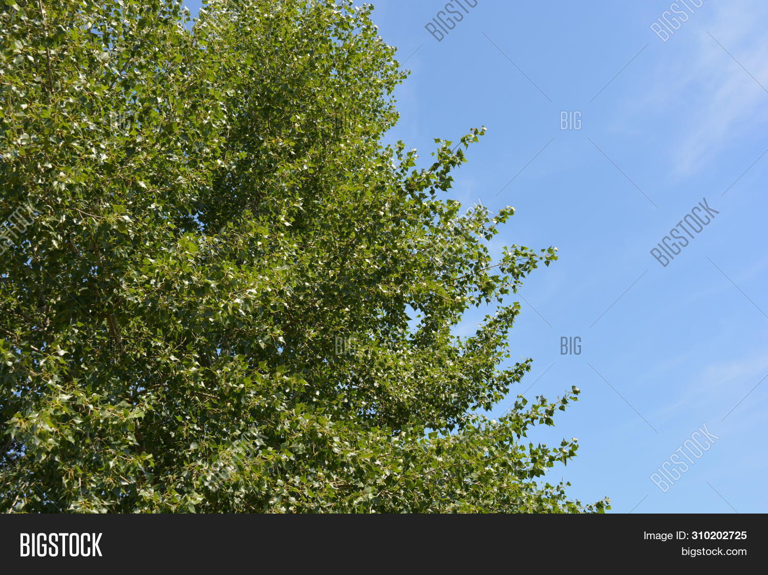 Bright Colorful Image & Photo (Free Trial) | Bigstock
