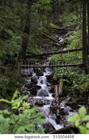 Small Waterfall In The Valley Of Koscielisko, Tatra Mountains, Poland
