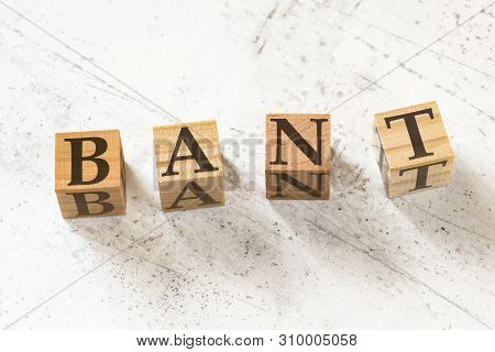 Four Wooden Cubes With Letters Bant Meaning Budget Authority Need Timeline On White Working Board.