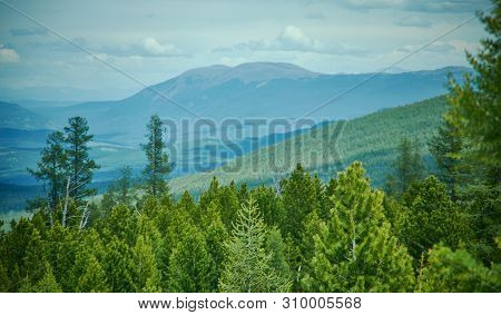 Ulagansky Pass, Altai  Mountain ,  Woodland  Nature  Outdoor