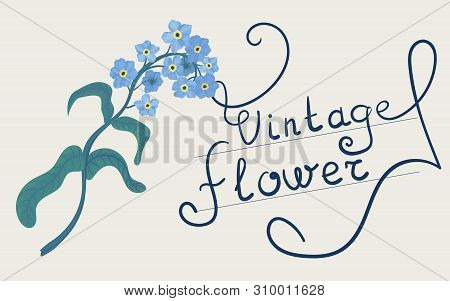Hand Drawn Forget-me-not Blue Flower. Object With Transparent. Eps 10.