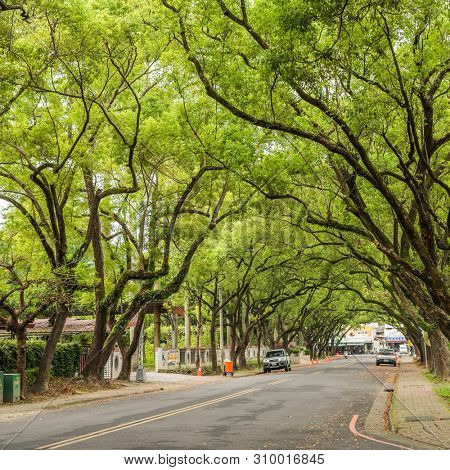Nantou, Taiwan - June 25th, 2019: street scenery with old house and trees at Zhongxing New Village, Nantou, Taiwan