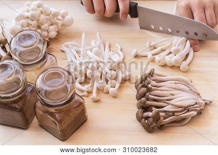 White Small Mushrooms . Small White And Brown Mushrooms On The Table.white Beech Mushrooms Or Shimej