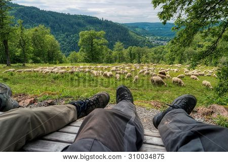 Hike Along The Long-distance Hiking Trail Neckarsteig In Germany