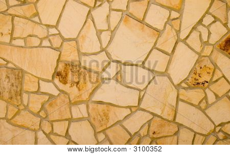 Vizsla háttér és textúra