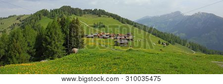 Obermutten, Village Situated On A Hill Top. Green Meadow With Yellow Flowers.
